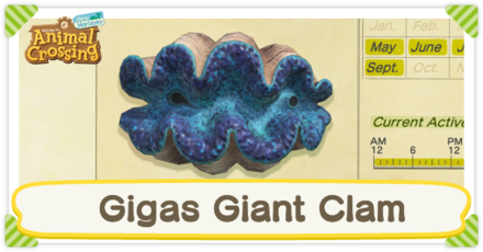 Giant clam shop shell animal crossing