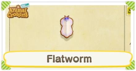 Flatworm Times