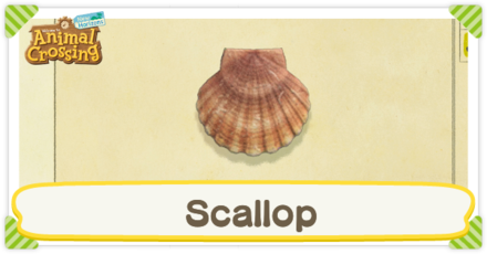 Scallop Times
