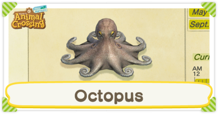 Octopus Times