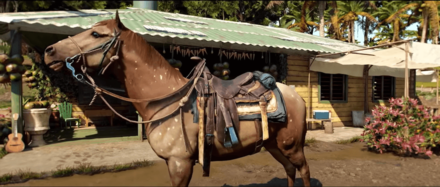 Far Cry 6 Horses