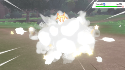 Pokemon Sword and Shield - Play Rough.png