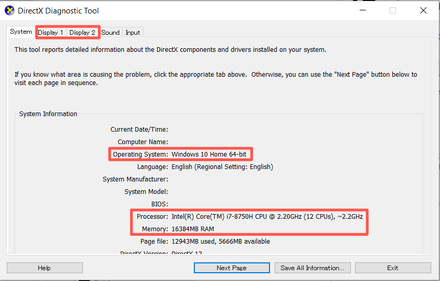 New World - DirectX Diagnostic Tool