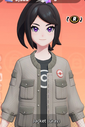 Jacket (Gray) Preview