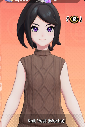 Knit Vest (Mocha) Preview