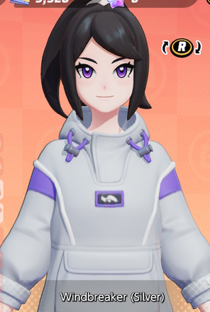 Windbreaker (Silver) Preview