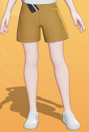 Culottes and Belt (Orange) Preview