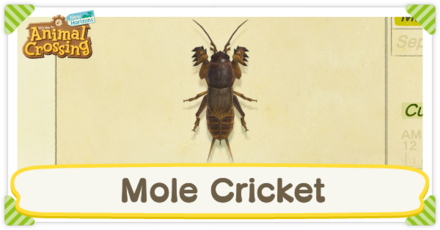 Mole Cricket Times
