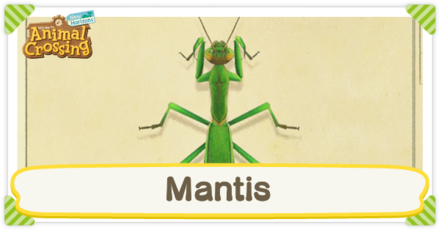 Mantis Times