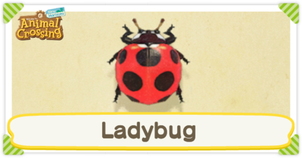 Ladybug Times