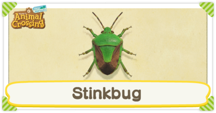Stinkbug Times