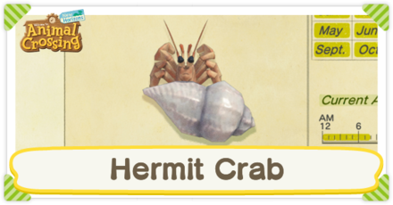 Hermit Crab Times and How to Catch | Animal Crossing: New Horizons (Switch)|Game8 Hermit Crab Times and How to Catch | Animal Crossing: New Horizons (Switch)|Game8