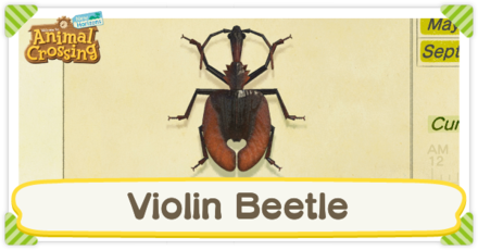 Violin Beetle Times And How To Catch Animal Crossing New Horizons Switch Game8