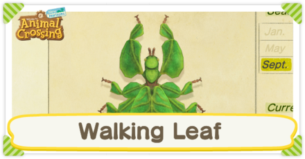 Walking Leaf Times