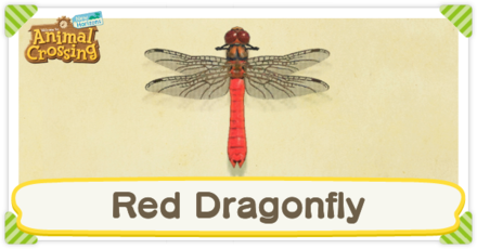 Red Dragonfly Times