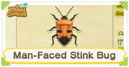 Man-Faced Stink Bug Times
