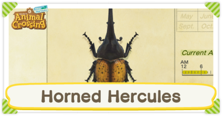 Horned Hercules Times