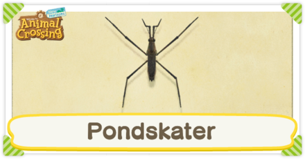 Pondskater Times