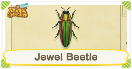 Jewel Beetle Times