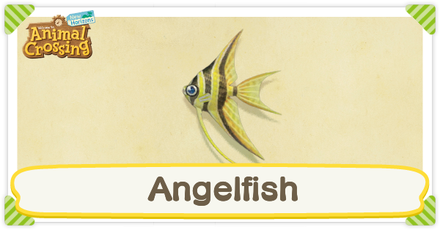 ACNH Angelfish Times and Price