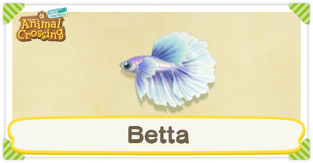 ACNH Betta Times and Price