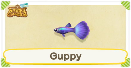 ACNH Guppy Times and Price