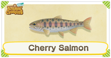 ACNH Cherry Salmon Times and Price