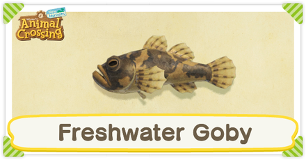 ACNH Freshwater Goby Times and Price