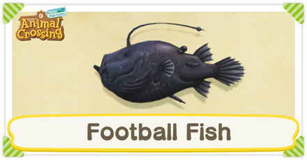 ACNH Football Fish Times and Price