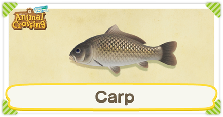 ACNH Carp Times and Price