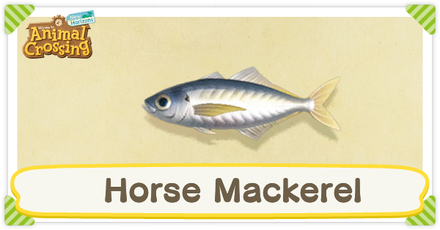 ACNH Horse Mackerel Times and Price
