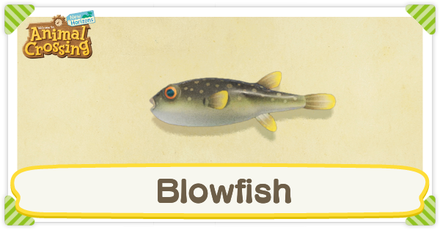 ACNH Blowfish Times and Price