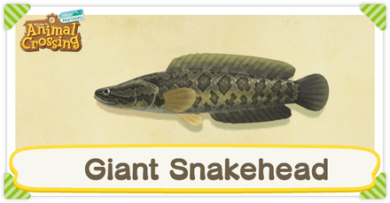 ACNH Giant Snakehead Times and Price