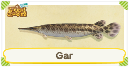 ACNH Gar Times and Price