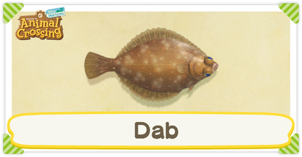 ACNH Dab Times and Price