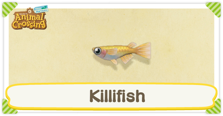 ACNH Killifish Times and Price
