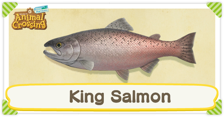 ACNH King Salmon Times and Price