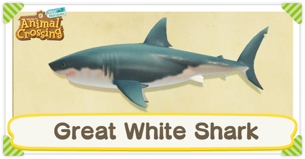 ACNH Great White Shark Times and Price