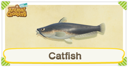 ACNH Catfish Times and Price