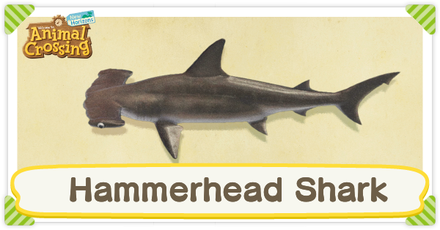 ACNH Hammerhead Shark Times and Price