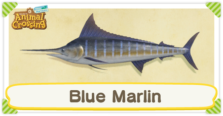 ACNH Blue Marlin Times and Price