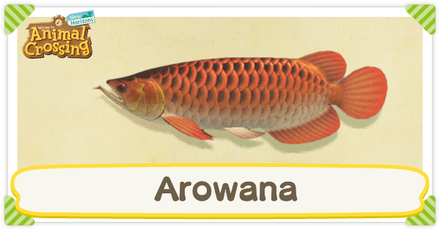 ACNH Arowana Times and Price