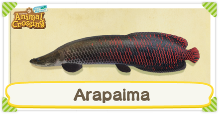 ACNH Arapaima Times and Price