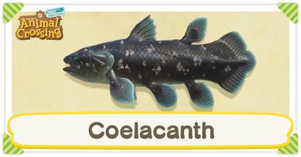ACNH Coelacanth Times and Price