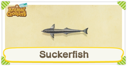 ACNH Suckerfish Times and Price