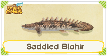 ACNH Saddled Bichir Times and Price