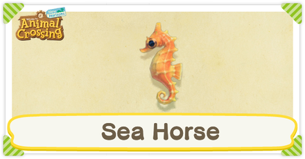ACNH Seahorse Times and Price