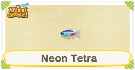 ACNH Neon Tetra Times and Price