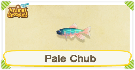 ACNH Pale Chub Times and Price