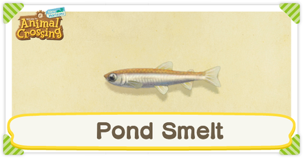 ACNH Pond Smelt Times and Price